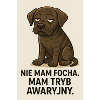 Nieogarnięta kolekcja