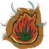 Fire Succulente