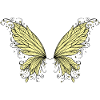 Wings, delicate
