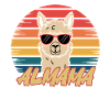 Retro Alpaca Shirt – ALMAMA Design