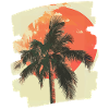 Palme Sonnenuntergang Sommer