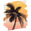 Palm Tree Sunset Somme