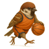 Ulmer Spatzen Basketball
