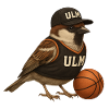 Ulmer Spatzen Basketball