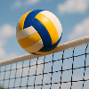 Sport - Volleyball