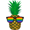 Ananas, Sonnenbrille, LGTB, Regenbogen,bunt
