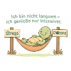 Turtle Chill Zone