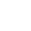 EBM Skull