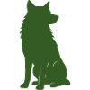 Wolf 1
