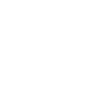Panda Hero Comic Action