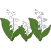 Lily of the Valley Three-pack