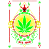 Vibrant Cannabis and Skull Emblem