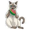 Siamese Cat Watermelon