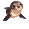 Sea Lions Sea Lion
