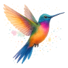 Dancing rainbow hummingbird
