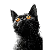 Schwarze Katze Peter