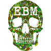 EBM Camo Skull