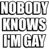 Nobody knows Im gay