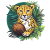Cheetah with coconut