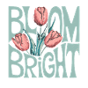 Bloom Bright Tulips Illustration Spring