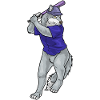 Wolf Baseball Baseballschläger
