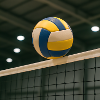 Sport - Volleyball