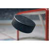 Sports - Hockey