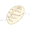 Sauerteigbrot Strichzeichnung