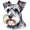 Zwergschnauzer