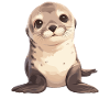 Seelöwen Seelöwe