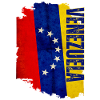 Vertical Venezuelan flag, I love Venezuela