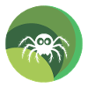 Arachnid Spider Creepy Crawly