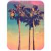 Palm Tree Sunset Summer Sun