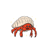 Traîner avec mes Hermies