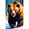 Bär | Braunbär | Grizzlybär | Tiere