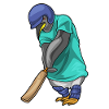 Penguin Cricket Cricket Bat