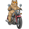 Moto Ours