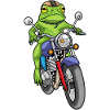 Moto Frog