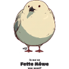 Fat Seagull
