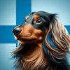 Finnish Dachshund