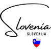 Slovenian Pride, flag of Slovenia