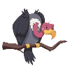 Vulture