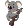 Koala