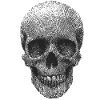 Fingerprint Skull