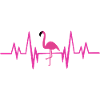 Flamingo heartbeat