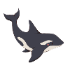 Orca