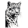 Schneeleopard | Leopard | Raubtier