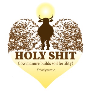 Holy Shit logo in English