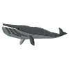 Baleine brodée