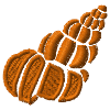 Shell embroidered